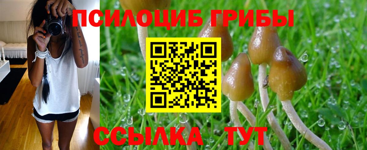 Псилоцибиновые грибы Psilocybe  Псилоцибиновые грибы Psilocybine cubensis  Фролово  наркота  Вход с VPN 