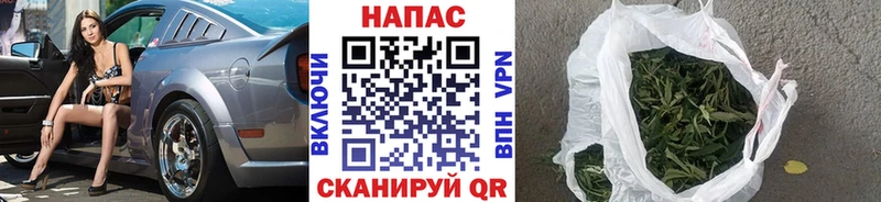 Шишки марихуана SATIVA & INDICA  Фролово 